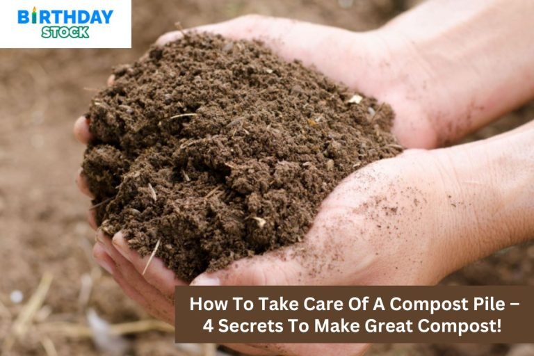 How To Take Care Of A Compost Pile – 4 Secrets To Make Great Compost!