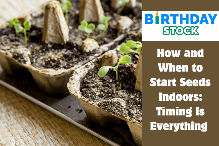 How and When to Start Seeds Indoors Timing Is Everything 
