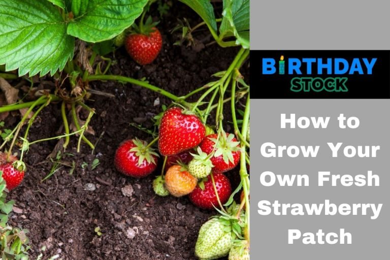 How to Grow Your Own Fresh Strawberry Patch