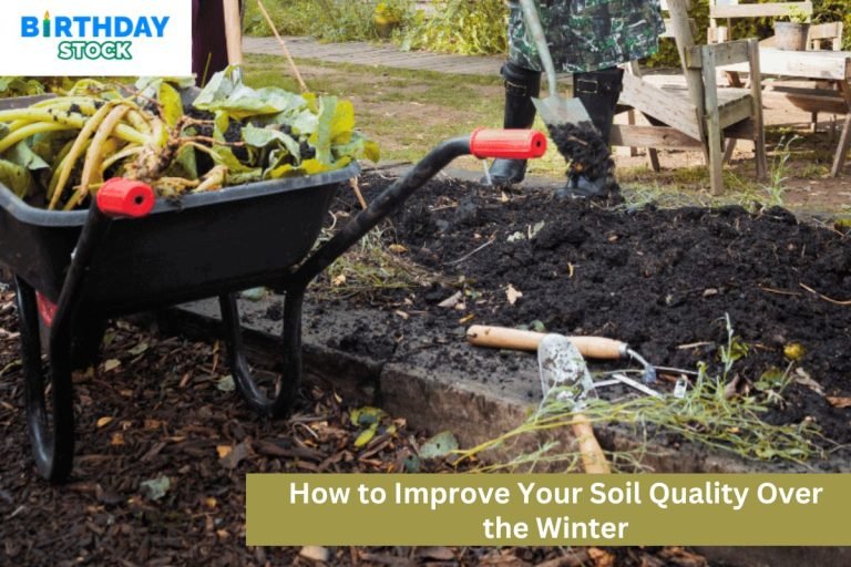 How to Improve Your Soil Quality Over the Winter