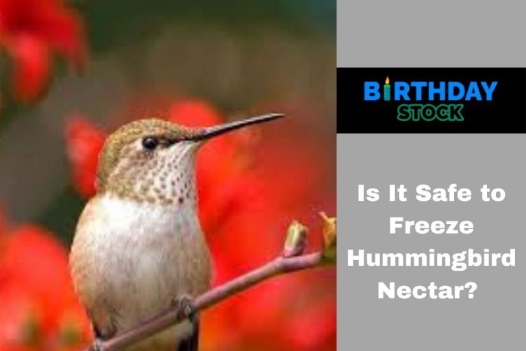 Is It Safe to Freeze Hummingbird Nectar