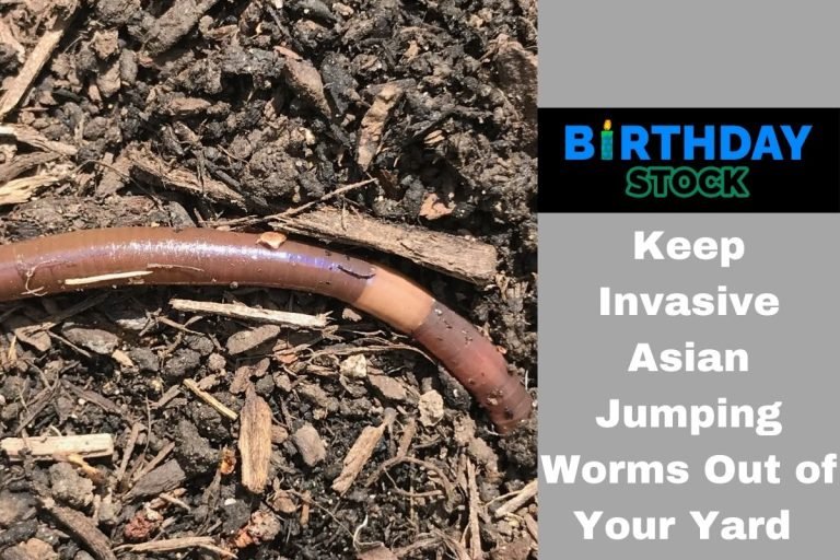 Keep Invasive Asian Jumping Worms Out of Your Yard