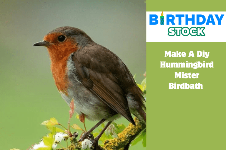 Make A Diy Hummingbird Mister Birdbath 