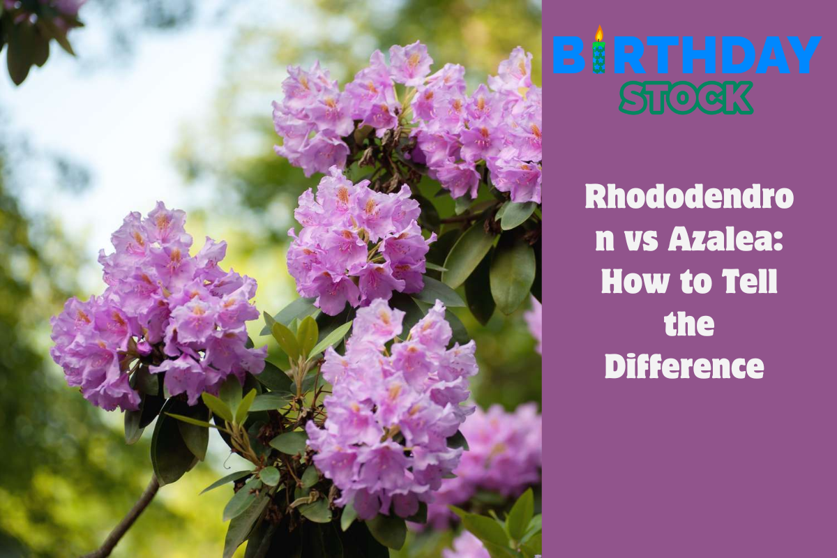 Rhododendron vs Azalea How to Tell the Difference 
