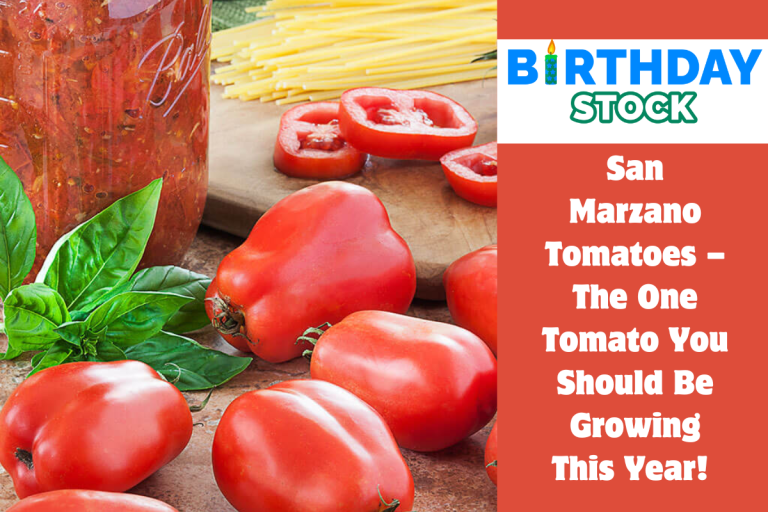 San Marzano Tomatoes – The One Tomato You Should Be Growing This Year! 