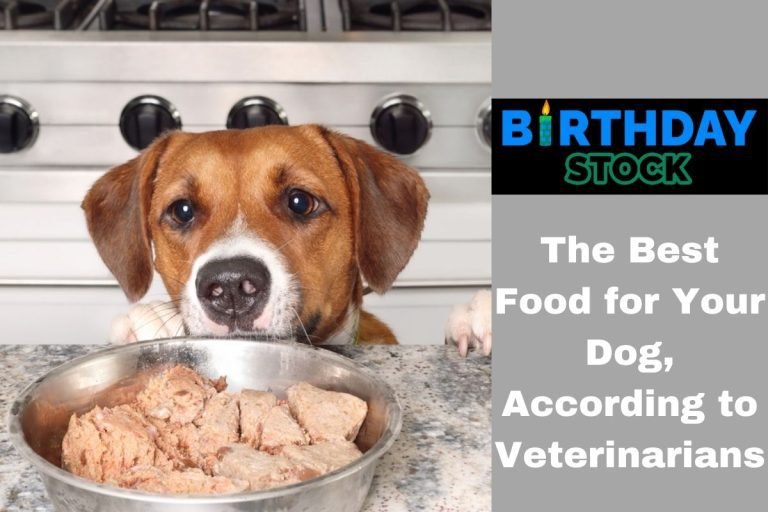 The Best Food for Your Dog, According to Veterinarians