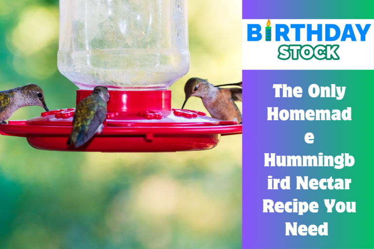 The Only Homemade Hummingbird Nectar Recipe You Need 