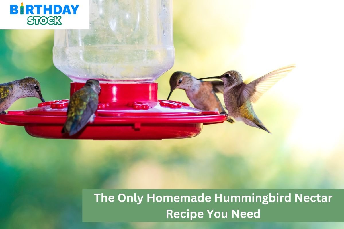 The Only Homemade Hummingbird Nectar Recipe You Need