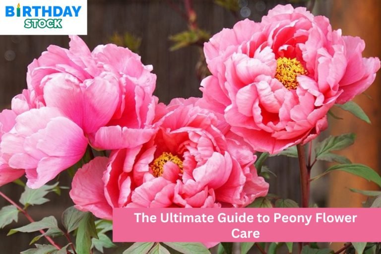 The Ultimate Guide to Peony Flower Care