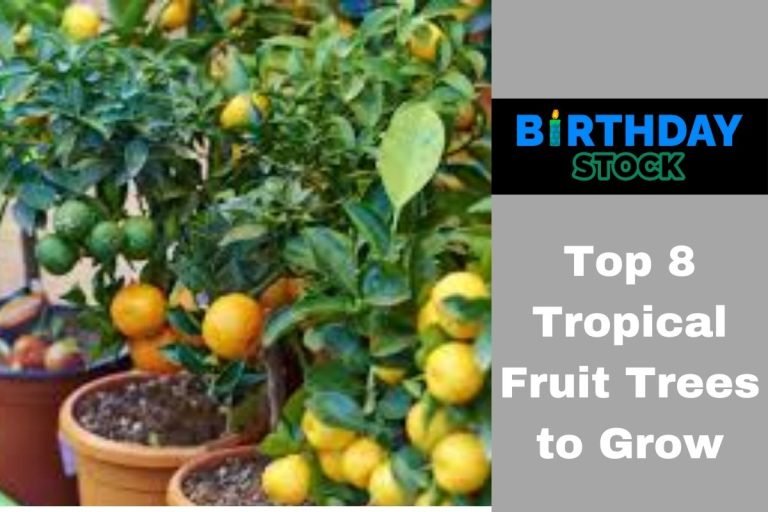 Top 8 Tropical Fruit Trees to Grow