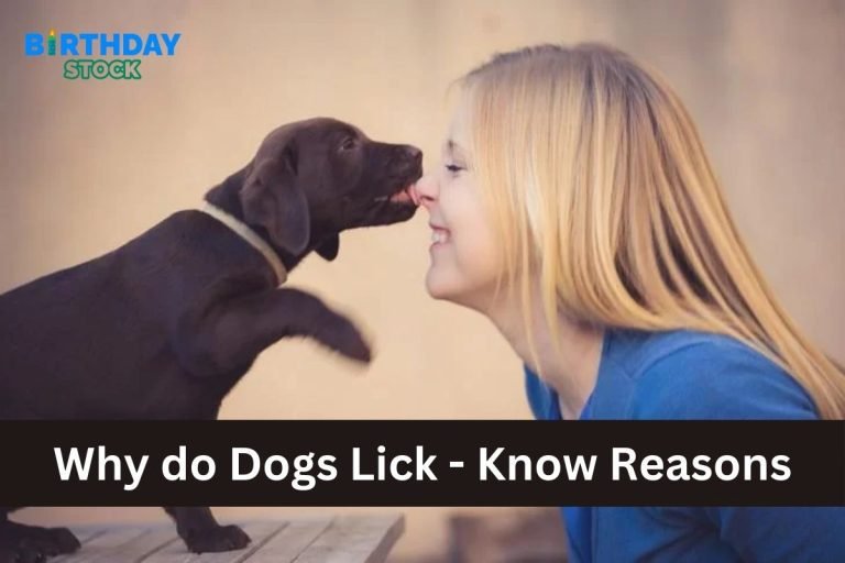 Why do Dogs Lick - Know Reasons