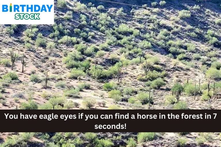 You have eagle eyes if you can find a horse in the forest in 7 seconds!