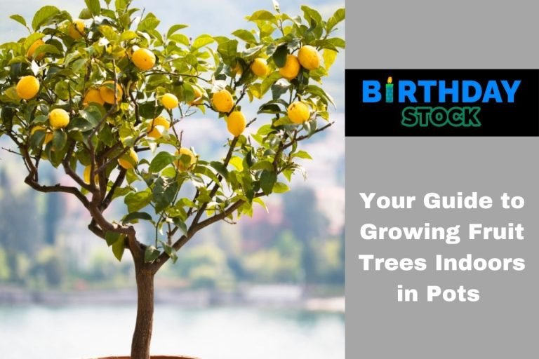 Your Guide to Growing Fruit Trees Indoors in Pots
