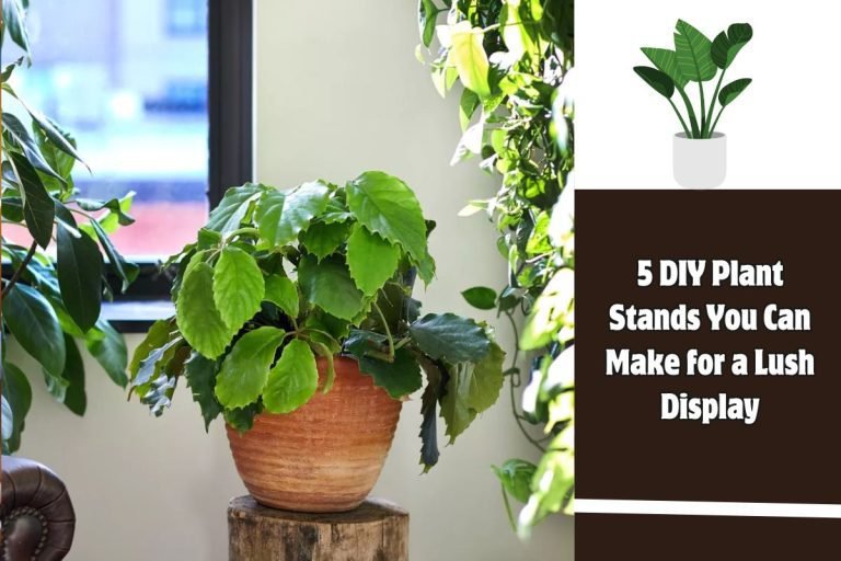5 DIY Plant Stands You Can Make for a Lush Display