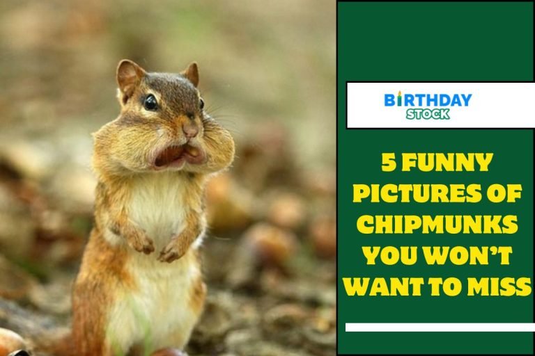 5 Funny Pictures of Chipmunks You Won’t Want to Miss