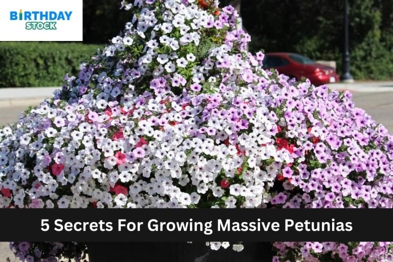 5 Secrets For Growing Massive Petunias
