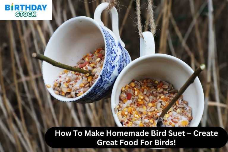 How To Make Homemade Bird Suet – Create Great Food For Birds!