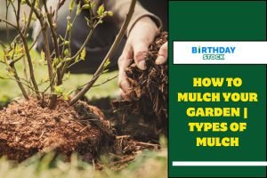 How to Mulch Your Garden Types of Mulch