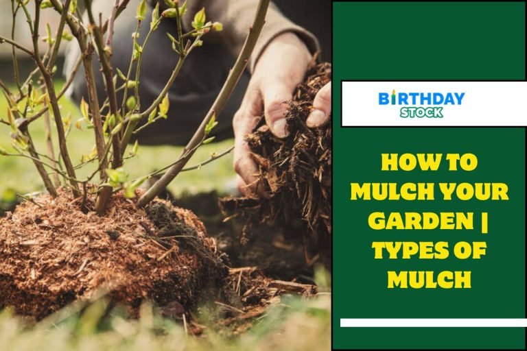 How to Mulch Your Garden Types of Mulch