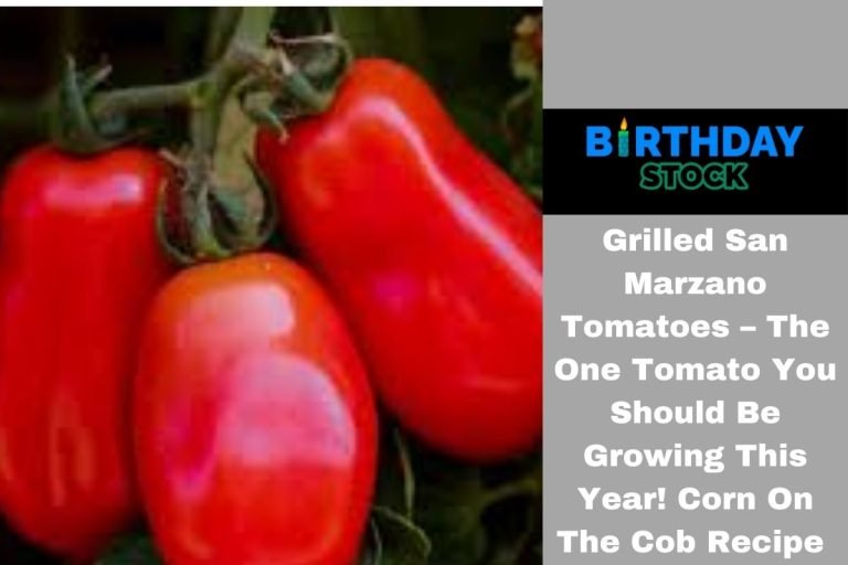 San Marzano Tomatoes – The One Tomato You Should Be Growing This Year!